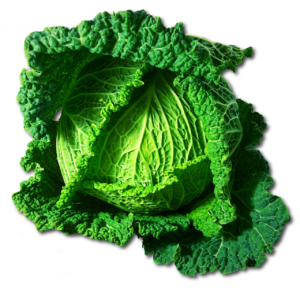 cabbage, savoy, vegetables-1128482.jpg